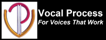Vocal Process Ltd. logo