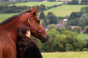 Pure Horsemanship - Louise Chacon