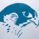 Cumberland Birds of Prey Center logo