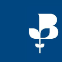 Business Mentoring Scotland logo