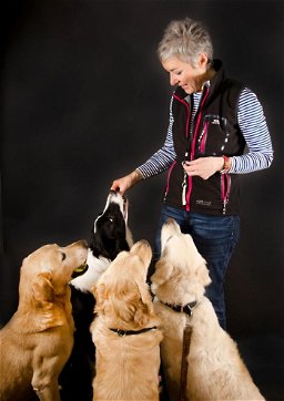 Happy Houndz Dog Obedience Training