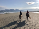 Seahorse Polo And Beach Rides