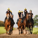 Henry Daly National Hunt Trainer