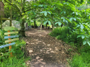 Little Hawk Forest School