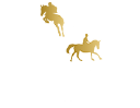 Bourne Vale Stables Ltd