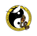 Sas Martial Arts Academy logo