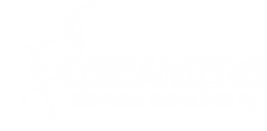 Dreamers Dance Academy logo
