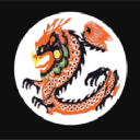 Dragon Judo Club logo