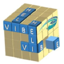 Helivibe Training And Consultancy logo