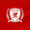 Nailsea United Fc logo