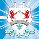 Pontnewynydd Afc logo