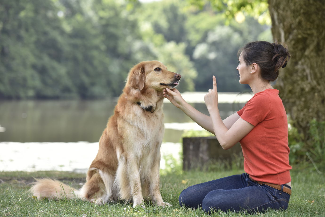 Animal Behaviour and Psychology