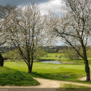Wensum Valley Hotel, Golf And Country Club