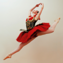 The Linda Lowry School Of Ballet logo