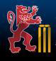 Bapchild Cricket Club logo