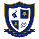 Fawley Afc logo
