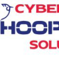 Cyber Hoopoes Solutions Ltd logo