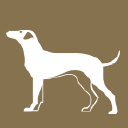 Cartmel Valley Dog Grooming logo