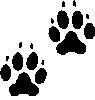 Sarah Matthews Dog Behaviour & Training logo