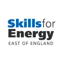 Skills For Energy logo