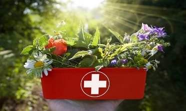 First Aid For Holistic Therapy Diploma