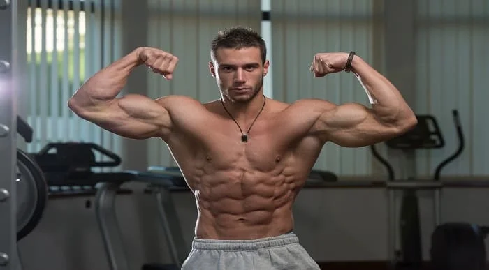 Six Pack Abs & Muscle Building