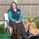 Dog Training For Essex & Suffolk Ltd