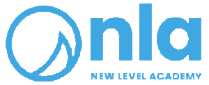 New Level Education logo