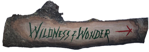 Wildness and Wonder LTD logo