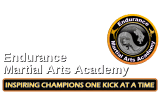 Endurance Martial Arts Academy logo