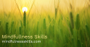 Mindfulness Skills