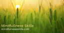 Mindfulness Skills logo