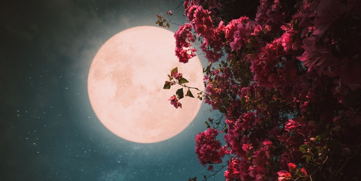Soul Circle - Sunday 26th May, Full Flower Moon in Sagittarius
