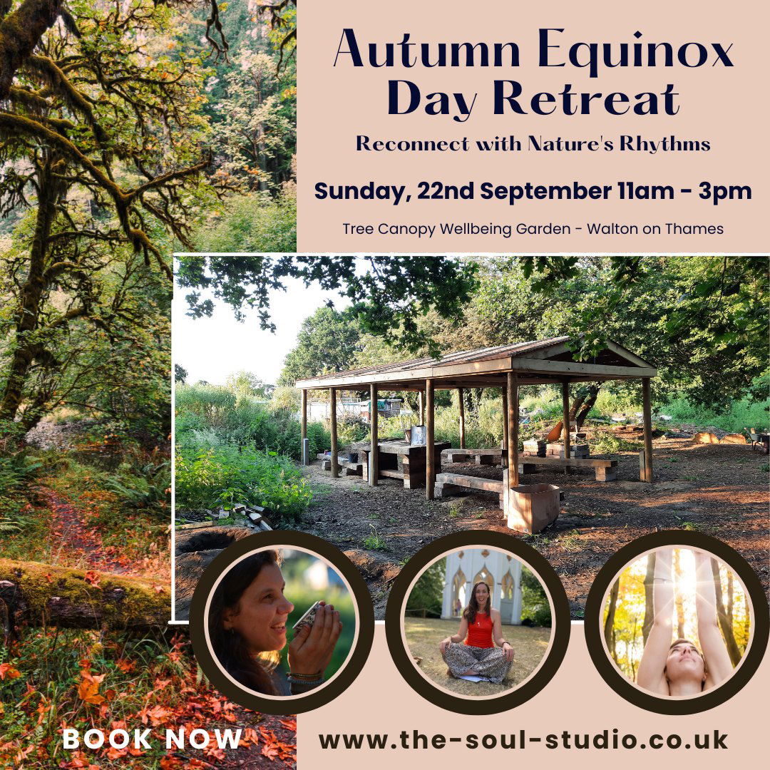 Autumn Equinox Day Retreat 22nd September, 11am-3pm
Reconnect with Nature's Rhythms