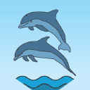 School Of Dolphins