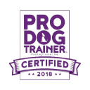 Pawsitive Dog Training Solutions