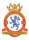 211 (Newbury) Squadron ATC logo