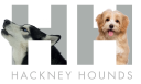 Hackney Hounds logo