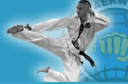 Banstead Taekwon-Do Self Defence Martial Arts logo