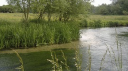 Lower Itchen Fishery Ltd