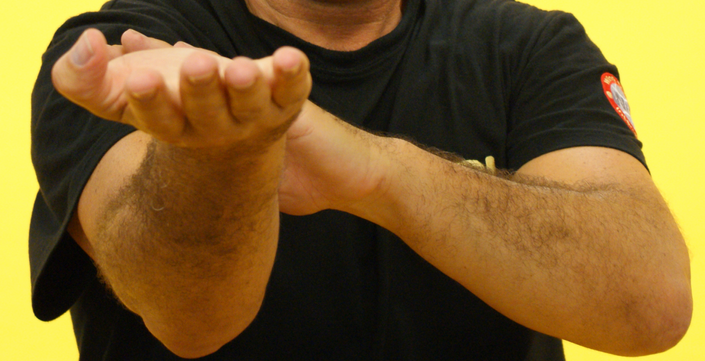 Wing Chun Kung Fu - Master Training Programme