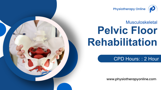 Comprehensive Guide to Pelvic Floor Physiotherapy