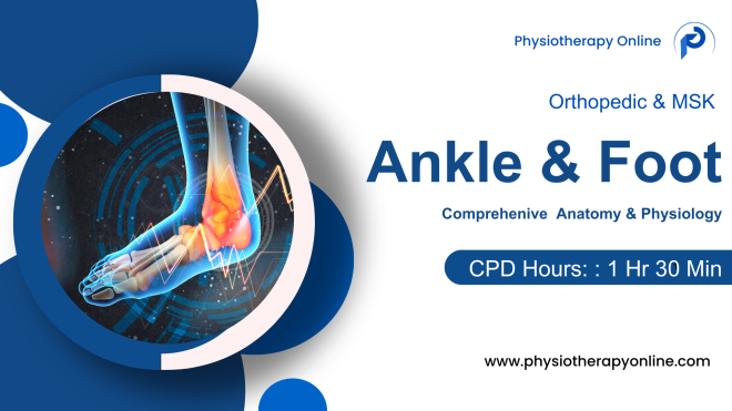 Comprehensive Therapeutic Guide to Ankle and Foot Anatomy
