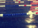 Seaton Swimming School