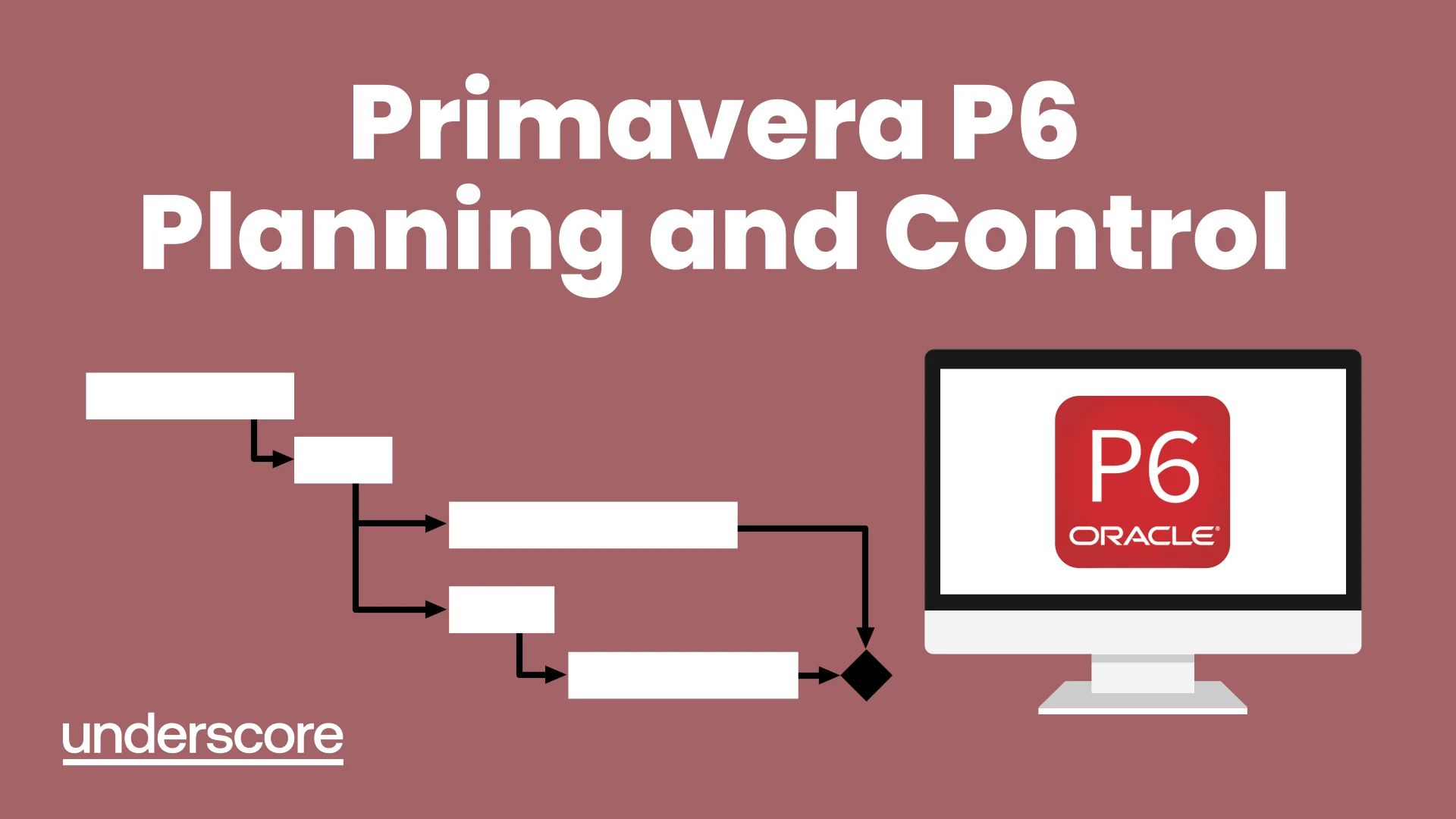 Primavera P6 Planning and Control