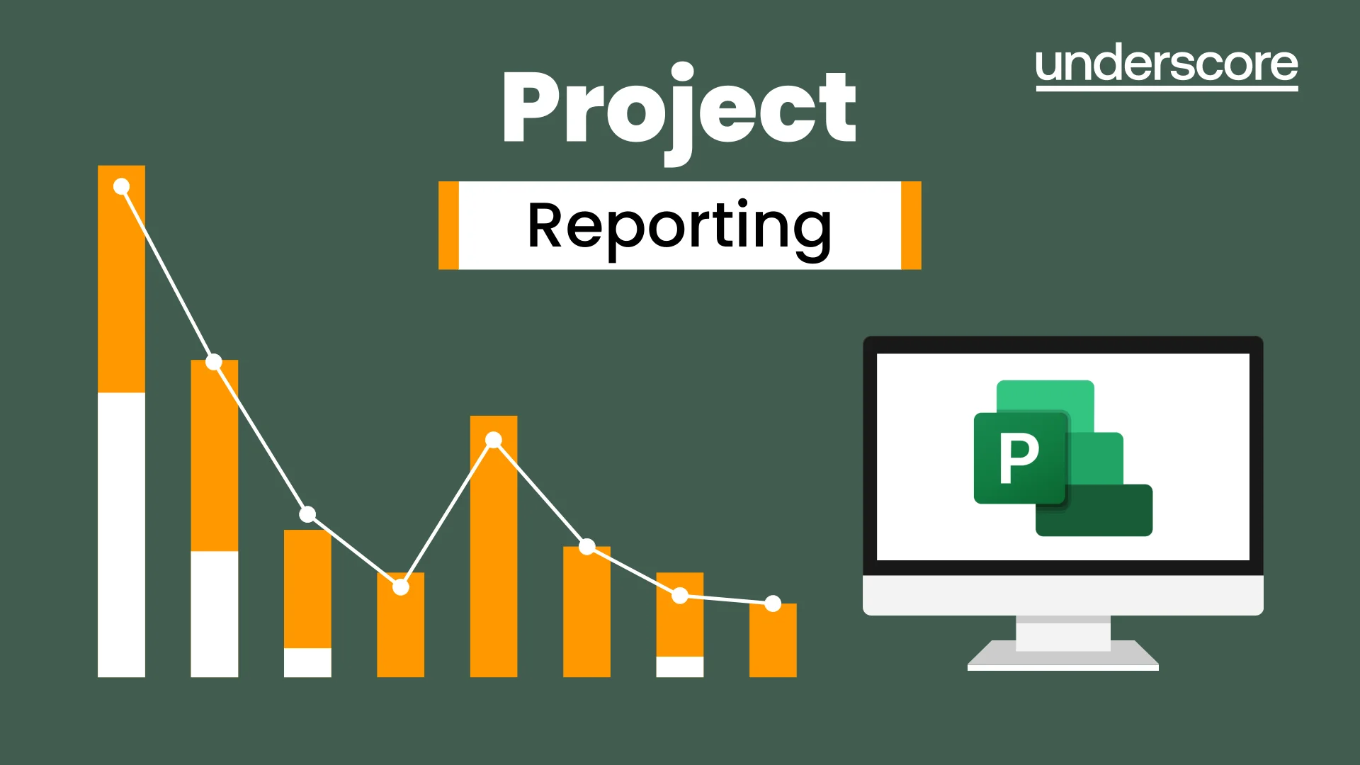 Microsoft Project Reporting
