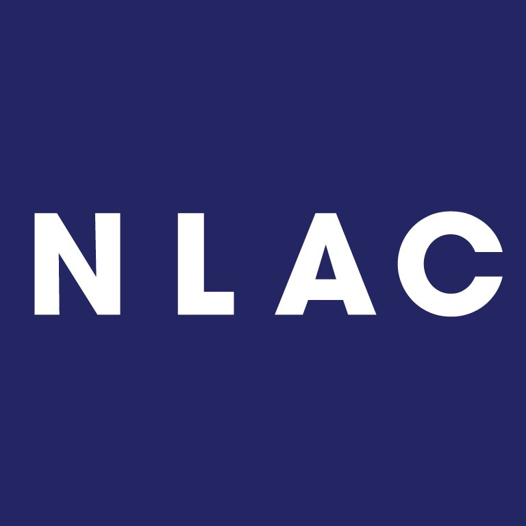 Nagin Lad Accountancy College logo