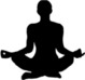 Sarah Ryan Yoga logo