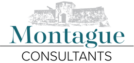 Montague Consulting logo