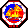 Phoenix Taekwondo School